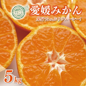 yӂ邳Ɣ[Łz Q݂ 5kg 7000~ Q ݂ B݂  ݂ mikan  ~J Yn Y _ƒ Ԍ ʌ Yi ACX  lC  Â t[c ʕ 