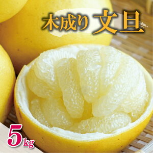 yӂ邳Ɣ[Łz ʌ st ؐ U 5kg 7000~ Ԃ񂽂 Y Yn _ƒ Yi Mtg v[g [[ W[X ACX  lC  Â t[c ʕ k 