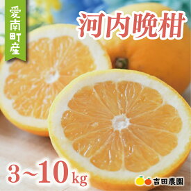 【ふるさと納税】 高評価 ★4.79 選べる容量 河内晩柑 3kg 5kg 10kg 訳あり 贈答用 数量限定 期間限定 わけあり 愛媛 みかん mikan 蜜柑 ミカン 愛南ゴールド 国産 特産品 フルーツ ギフト プレゼント お中元 果物 柑橘 おいしい さわやか 甘い 吉田農園 愛南町 愛媛県
