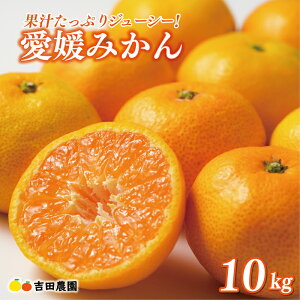 yӂ邳Ɣ[Łz y]4.6z s\ Iׂe Q݂ 3kg 5kg 10kg 󂠂 ʏi Ԍ Q ݂ B݂ mikan  ~J Y Ԍ ʌ Yi t[c ʕ