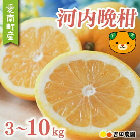 【ふるさと納税】 先行受付 数量限定 高評価 ★4.79 選べる容量 河内晩柑 3kg 5kg 10kg 訳あり 贈答用 期間限定 わけあり 愛媛 みかん mikan 蜜柑 ミカン 愛南ゴールド 国産 特産品 フルーツ ギフト プレゼント お中元 果物 柑橘 おいしい 甘い 吉田農園 愛南町 愛媛県