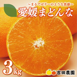 yӂ邳Ɣ[Łz ʌ s\ Q ܂ǂ 3kg ݂ 18000~ 28 g܂ǂ i   lC uh k ʕ t[c Ԍ Yn Y _ƒ Yi M