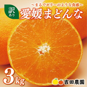 yӂ邳Ɣ[Łz ʌ s\ 󂠂 Q ܂ǂ 3kg ݂ ƒp 12000~ 28 g܂ǂ i   lC uh k ʕ t[c Ԍ Yn Y 킯