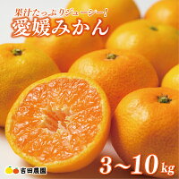 【ふるさと納税】 【高評価★4.6】 先行予約 選べる容量 愛媛みかん 3...