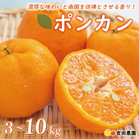 【ふるさと納税】 【高評価★4.64】 数量限定 順次発送 選べる内容 ポンカン 3kg 5kg 10kg 訳あり 通常品 期間限定 みかん mikan 蜜柑 ミカン わけあり ぽんかん 国産 人気 甘い フルーツ 果物 柑橘 おいしい サイズ ミックス 吉田農園 愛南町 愛媛県