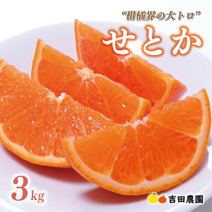 yӂ邳Ɣ[Łz ] 4.76 ʌ s\ 󂠂 or ʏi Ƃ 3kg ݂ TCY~bNX 14000~ 18000~  lC uh v~A k ʕ t[c Ԍ Y 킯