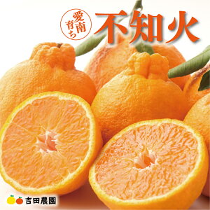 �y�ӂ邳�Ɣ[�Łz ���ʌ��� ��s�\�� �I�ׂ� ���e�� �s�m�� 3kg 5kg 10kg �݂��� ����ʂ� �f�R�|�� �� ���i�� mikan ���� �~�J�� �Y�n���� ���Y �_�ƒ��� ���Ԍ��� ���Y�i �l�C �Â� �ʎ� �ʓ� �t