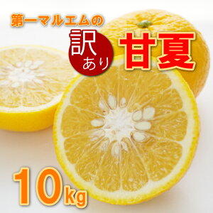 yӂ邳Ɣ[Łz 󂠂 É 10kg 7000~ ݂ mikan  ~J 킯 ܂Ȃ Yn Y _ƒ Ԍ ʌ Yi [[ W[X ACX Ⓚ ݂  lC Â 
