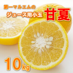 yӂ邳Ɣ[Łz É  10kg W[X p 7000~ ݂ mikan  ~J ܂Ȃ Yn Y _ƒ Ԍ ʌ Yi [[ ACX Ⓚ ݂  lC Â t[c 