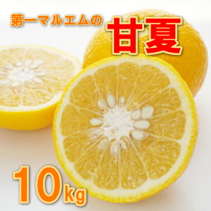 yӂ邳Ɣ[Łz É 10kg 10000~ ݂ mikan  ~J ܂Ȃ Yn Y _ƒ Ԍ ʌ Yi [[ W[X ACX Ⓚ ݂  lC Â t[c ʕ 