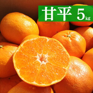 yӂ邳Ɣ[Łz s\ Õ 5kg 16000~ ݂  IW B݂ U ͓ӊ fR| sm ubhIW l[u ʕ  ʎ k t[c [[ W[