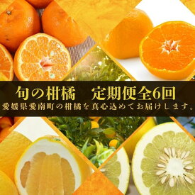 【ふるさと納税】 2025年11月〜 定期便 全6回 旬の柑橘 レモン 愛媛みかん ポンカン 文旦 河内晩柑 ブラッド オレンジ ネーブル せとか なつみ みかん 果物 柑橘 フルーツ 愛媛県 愛南町 清家ばんかんビレッジ