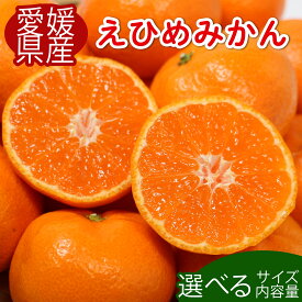 【ふるさと納税】 高評価 ★ 4.2 先行受付 愛媛みかん 選べる内容量 柑橘 みかん 果物 フルーツ 旬 ふるさと納税柑橘 ふるさと納税みかん サイズ不揃い 柑橘 フルーツ ふるさと納税訳あり 傷 不揃い 愛媛県 愛南町 清家ばんかんビレッジ (クラウドファンディング対象)