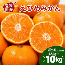 【ふるさと納税】 【先行予約】 高評価 ★ 4.2 先行受付 愛媛みかん 選べる内容量 柑橘 みかん 果物 フルーツ 旬 ふるさと納税柑橘 ふるさと納税みかん サイズ不揃い 柑橘 フルーツ ふるさと納税訳あり 傷 不揃い 愛媛県 愛南町 清家ばんかんビレッジ