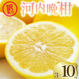 【ふるさと納税】 2026年 先行予約 選べる 容量 訳あり 河内晩柑 3kg 5kg 10kg M から 3L サイズミックス 樹齢 20年 以上 古木 愛南ゴールド 和製 グレープフルーツ 家庭用 愛媛 みかん 果物 フルーツ デザート ジュース ゼリー 特産品 愛媛県 愛南町 清家ばんかんビレッジ