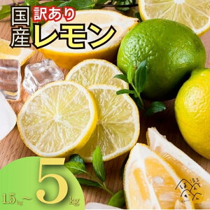 yӂ邳Ɣ[Łz 󂠂  Iׂ e 1.5kg 3kg 5kg S M L TCY~bNX h bNX sgp  ܂ S  g   ς O[  CG[  ͂ Q 
