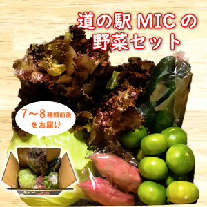 【ふるさと納税】 旬の野菜 セット 7〜8種類前後 野菜 サラダ 新鮮 葉物 根菜 香味 定番野菜 愛媛 愛南