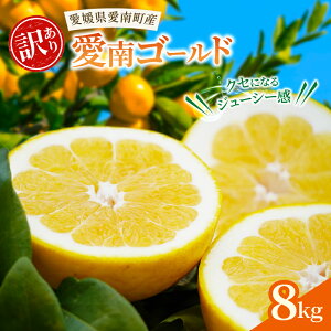 yӂ邳Ɣ[Łz 󂠂 S[h ( ͓ӊ ) 5kg/8kg s\  ͓ӊ a O[vt[c  s KiO 퉷 Q 쒬ʎs :2026N 4`ȂȂ莟I