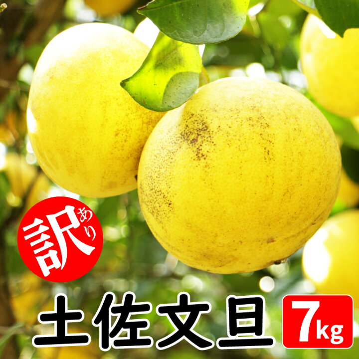 楽天市場】【ふるさと納税】 訳あり 土佐文旦 7kg みかん 蜜柑 文旦 
