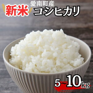 yӂ邳Ɣ[Łz V ߘa7NY RVqJ 5kg/10kg   쒬Y   Ђ lC Yn Y _ƒ Ԍ ʌ Yi  R ߘa7NxY 2025NY Y 