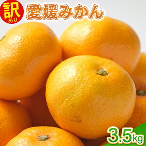 yӂ邳Ɣ[Łz 󂠂舤Q݂ 1.5kg 2kg 3kg k ~J  Q~J TCY~bNX KiO 퉷 쒬 ʎs Q :2025N11{`(ȂȂ莟I)
