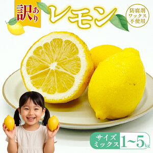 yӂ邳Ɣ[Łz 󂠂背 5kg bNX hܕsgp TCY~bNX J[~bNX O[ CG[ k  s  EG  TCY~bNX KiO 퉷 