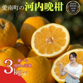 【ふるさと納税】 高評価★4.62 先行受付 選べる 河内晩柑 訳あり 家庭用 贈答 発送 2026年 先行予約 みかん ふるさと納税 みかん かわちばんかん 愛南ゴールド 果物 フルーツ ギフト 訳あり 家庭用 河内晩柑 ふるさと納税 河内晩柑 柑橘 かんきつ 愛媛県 愛南町 吉本農園