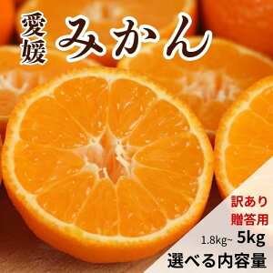 yӂ邳Ɣ[Łz y]4.30z s\ Ԍ Q݂ 1kg 1.8kg 2.5kg 3kg 5kg 󂠂  ʕ k ݂   t[c [[ W[X IW Â x s  Q 