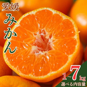 yӂ邳Ɣ[Łz y]4.30z s\ Ԍ Q݂ 1kg~7kg 󂠂  ʕ k ݂   t[c [[ W[X IW ~J  B݂ Â x 