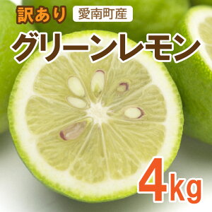yӂ邳Ɣ[Łz 󂠂  ( O[ ) 4kg 7000~  EG t[c ʕ  k h sgp T[ ʏ` Y_ r^~C NG_ J  Ɖu 