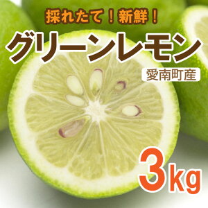yӂ邳Ɣ[Łz  ( O[ ) 3kg 10000~  EG t[c ʕ  k  Mtg h sgp T[ ʏ` Y_ r^~C NG_ J  