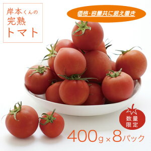 yӂ邳Ɣ[Łz n g}g 400g 8pbN v 3.2kg ݖ{ Y ΉF  Z Â  ʌ Y Yn  Y : 2026N21`620