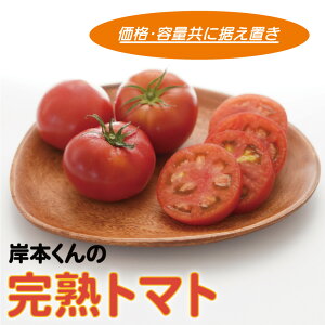 yӂ邳Ɣ[Łz n g}g  4kg ݖ{ Y ΉF  Z Â  ʌ Y Yn  Y :2025N1210`2026N228