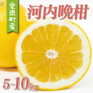 yӂ邳Ɣ[Łz ʌ s\ Iׂ e ͓ӊ 5kg 7kg 8kg 10kg 󂠂 p  4L ȏ Ԍ 킯 Q ݂ mikan  ~J S[h Y Yi Mtg v