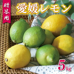 yӂ邳Ɣ[Łz ʌ p Q  5kg 10000~ k EG Y  Ԍ bNX h sgp L@͔| Yi t[c ʕ k lC  Yn _ƒ 