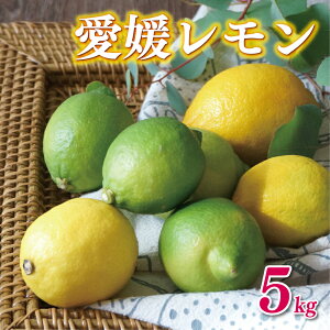 �y�ӂ邳�Ɣ[�Łz ���ʌ��� ���Q ������ 5kg ���� 7000�~ �����p 10000�~ ���k �E�G ���Y ����� ���Ԍ��� ���b�N�X �h���� �s�g�p �L�@�͔| ���Y�i �t���[�c �ʕ� ���k �l�C �������� �Y�n���� �_