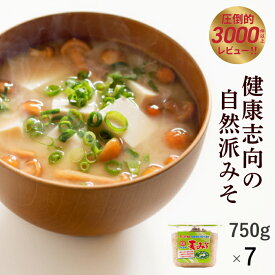【ふるさと納税】 麦 みそ 750g × 7 パック 甘口 無添加 生 仕込み 味噌 減塩 食物繊維 麹 非加熱 処理 蔵元 直送 樽 酵母 味噌汁 朝 ごはん ご飯 お米 常温 国産 健康 思考 自然派 愛媛 ご当地 贈答品 お返し プレゼント 土産 お取り寄せ マルマサ醤油 愛媛県 愛南町