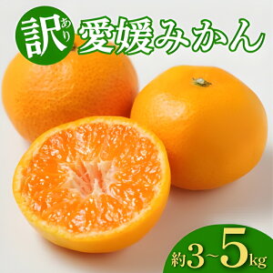 yӂ邳Ɣ[Łz 󂠂 Iׂ e Q݂ 3`5kg ݂  B݂ IW ʕ t[c k  ݂ lC   TCY  s َq P[L XC[c Â