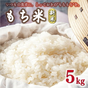 yӂ邳Ɣ[Łzߘa7NY V  5kg Q 쒬 aƔ_   Ԕ  I ͂ j S Â ʊi I Y  12000~ 2025NY
