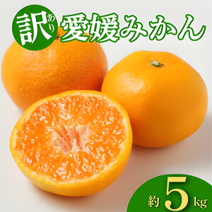 【ふるさと納税】 訳あり 愛媛みかん 約5kg みかん 蜜柑 温州みかん オレンジ 果物 フルーツ 柑橘 こたつ みかん 人気 期間 限定 サイズ 傷 不揃い サラダ スムージー お菓子 ケーキ スイーツ