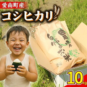 yӂ邳Ɣ[Łz ߘa7NY V RVqJ 10kg ( 5kg × 2 )     Ђ lC ቷ  Yn Y _ƒ Ԍ ʌ Yi ߘa7NxY 2025NY 嗱 