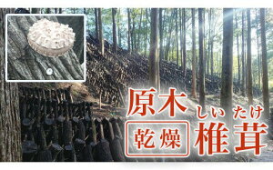 yӂ邳Ɣ[Łz   ő i 3 { XCX 1 j_ѐYb ǂ 7000~ VC^P   XCX ؂ Q  Yn Y _ƒ Ȃ񂮂s   