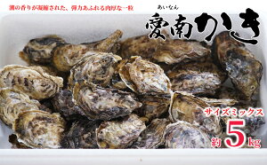 �y�ӂ邳�Ɣ[�Łz ��s�\�� �k�t�� ���삩�� 5kg �T�C�Y�~�b�N�X 20000�~ ���y �ނ��g �k�t ���� �J�L �I�C�X�^�[ �� �J�L�t���C �~���N �\�e�[ �N���[���V�`���[ �O���^�� ���y�� ���� ������ 