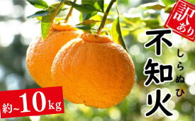 【ふるさと納税】 訳あり 正規品 不知火 約5kg~10kg みかん 蜜柑 しらぬい デコポン 果物 柑橘 フルーツ ポンカン 温州みかん 河内晩柑 せとか 紅まどんな ジュース ビタミンC サイズミックス エニシトラス 愛媛県 愛南町 発送期間: 2026年2月上旬〜(なくなり次第終了)
