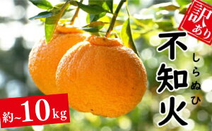 �y�ӂ邳�Ɣ[�Łz �󂠂� ���K�i �s�m�� ��5kg~10kg �݂��� ���� ����ʂ� �f�R�|�� �ʕ� ���k �t���[�c �|���J�� ���B�݂��� �͓��ӊ� ���Ƃ� �g�܂ǂ�� �W���[�X �r�^�~��C �T�C�Y�~�b�N�X 