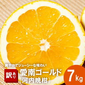 【ふるさと納税】 訳あり 愛南ゴールド 約7kg 柑橘 フルーツ みかん 河内晩柑 夏 文旦 かわちばんかん わけあり 傷 きず 規格外 不揃い 大樹農園 愛媛県 愛南町 発送期間：4月1日〜 (なくなり次第終了)