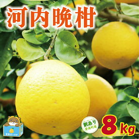 【ふるさと納税】 【 高評価 ★4.8】 先行予約 訳あり 河内晩柑 8kg 7000円 みかん かわちばんかん 愛南ゴールド あいなん ゴールド 美生柑 文旦 グレープフルーツ 和製 家庭用 国産 期間限定 数量限定 わけあり 人気 フルーツ 果物 柑橘 規格外 愛媛県 愛南町 塚岡農園