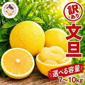 【ふるさと納税】 先行予約 選べる容量 訳あり 文旦 7kg 10kg（Mサイズ以上 サイズミックス） 7000円 10000円 ぶんたん みかん mikan 蜜柑 ミカン 家庭用 産地直送 国産 農家直送 減農薬 期間限定 数量限定 特産品 柑橘 おいしい あいなんマザーズ 愛南町 愛媛県