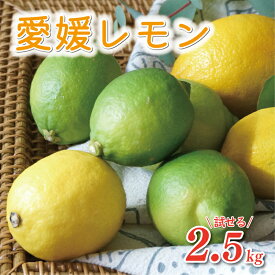 【ふるさと納税】 数量限定 先行予約 選べる レモン 2.5kg 訳あり 6000円 通常品 7000円 檸檬 国産 愛媛 れもん 期間限定 少量 お試し 特産品 フルーツ 果物 柑橘 人気 おいしい 産地直送 農家直送 ワックス 防腐剤 不使用 あいなんマザーズ 愛南町 愛媛県