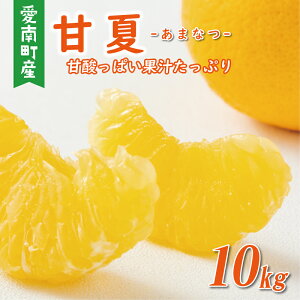 yӂ邳Ɣ[Łz y]4.67z s\ Iׂ Ki É 10kg 󂠂 ʏi 25N ȏ ݂ Q ~J mikan  킯 ܂Ȃ Ă݂  Y _ Ԍ 